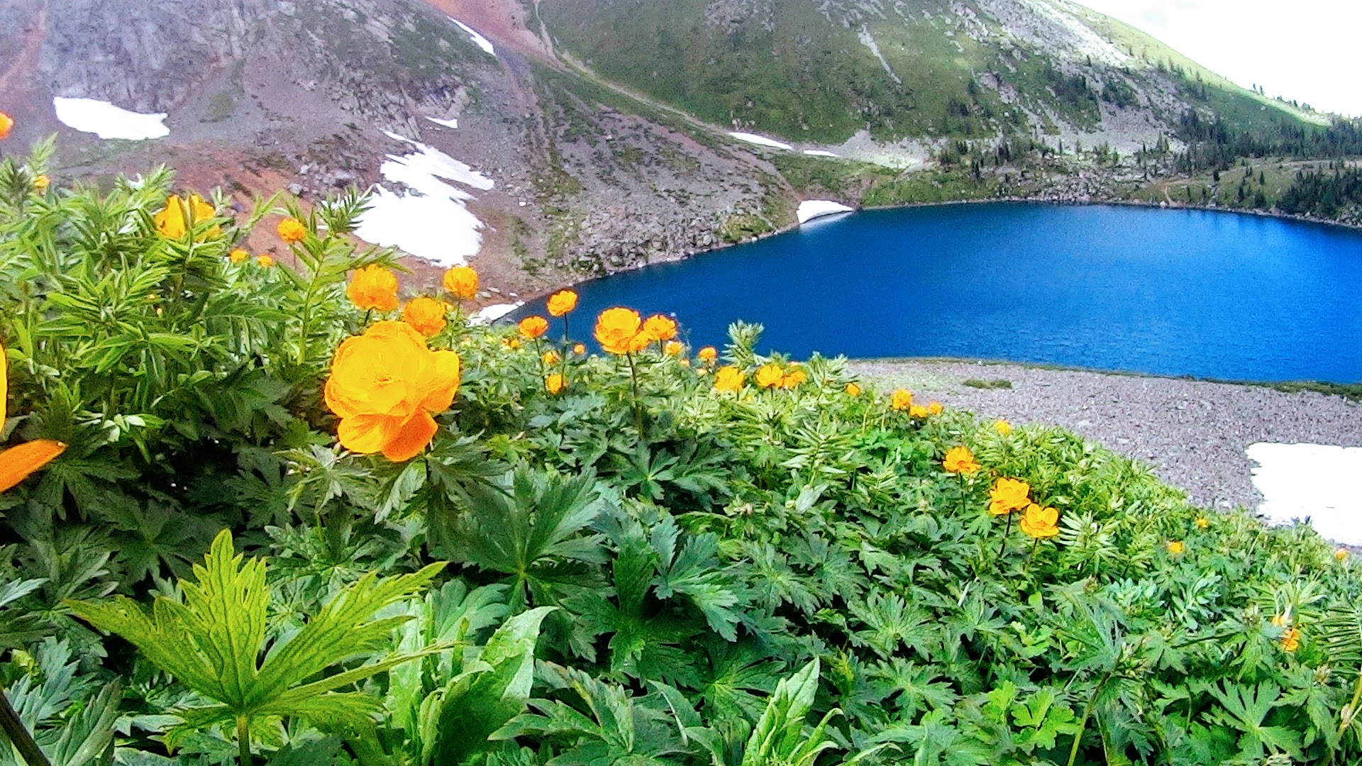 Об утверждении Правил аккредитации общественных объединений и некоммерческих организаций, к уставной деятельности которых относится осуществление деятельности по наблюдению за выборами