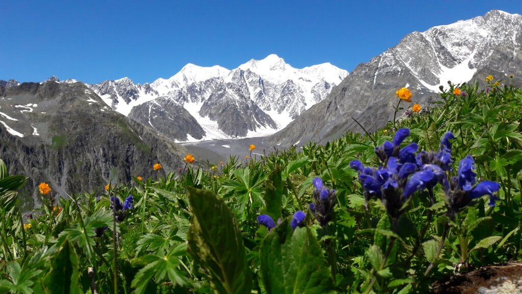 Об утверждении Правил и объемов выделения средств кандидатам для выступления в средствах массовой информации