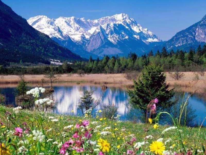 Об утверждении формы избирательных бюллетеней для голосования по выборам Президента Республики Казахстан, депутатов Мажилиса Парламента и маслихатов Республики Казахстан, избираемых по партийным спискам, депутатов Мажилиса Парламента и маслихатов Республики Казахстан, избираемых по одномандатным территориальным избирательным округам, акимов районов, городов областного значения, городов районного значения, сел, поселков, сельских округов