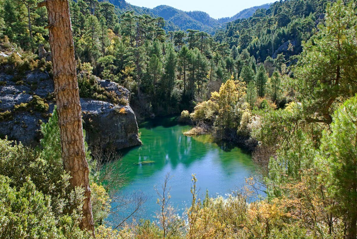 О внесении изменений и дополнения в некоторые постановления Центральной избирательной комиссии Республики Казахстан