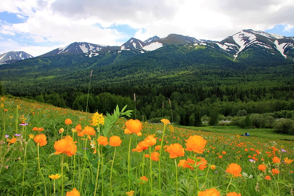 Об утверждении Правил хранения избирательных документов