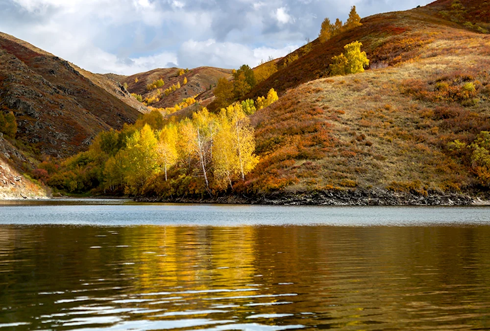 О внесении изменений в совместные приказ Председателя Агентства Республики Казахстан по делам государственной службы от 21 июня 2021 года № 102 и Постановление Центральной избирательной комиссии Республики Казахстан от 22 июня 2021 года № 4/407 "Об утверждении перечня документов, представляемых кандидатами в акимы города районного значения, села, поселка, сельского округа в районную (городскую) избирательную комиссию для проверки соответствия требованиям законодательства Республики Казахстан в сфере государственной службы"